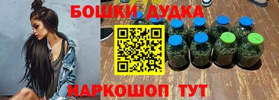 гидропоника Новокубанск