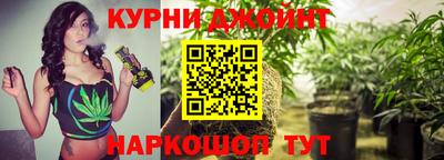 гидропоника Новокубанск